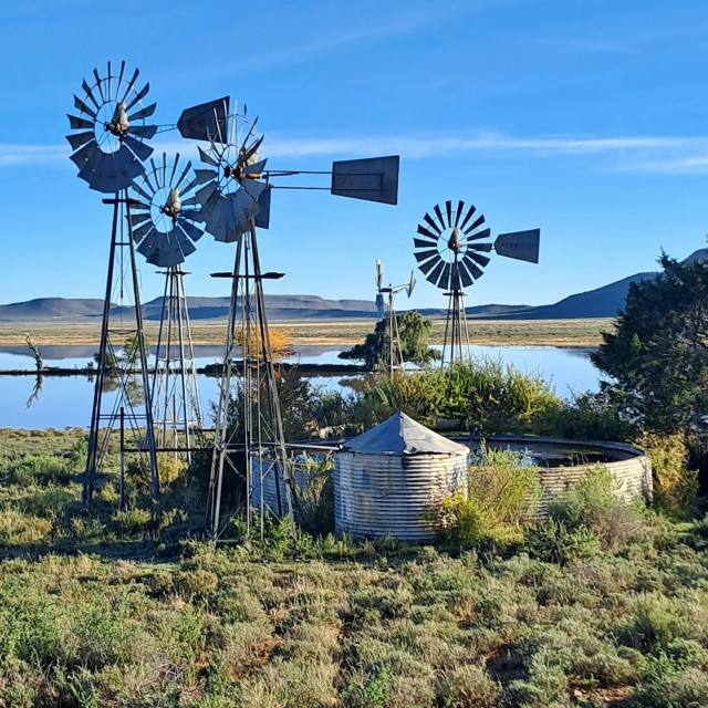 Windmills at the dam